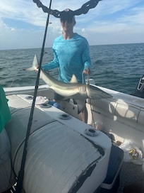 Caught this full size 5 foot shark.