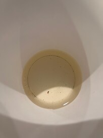 This is what boiled water looked like from the machine in the hotel