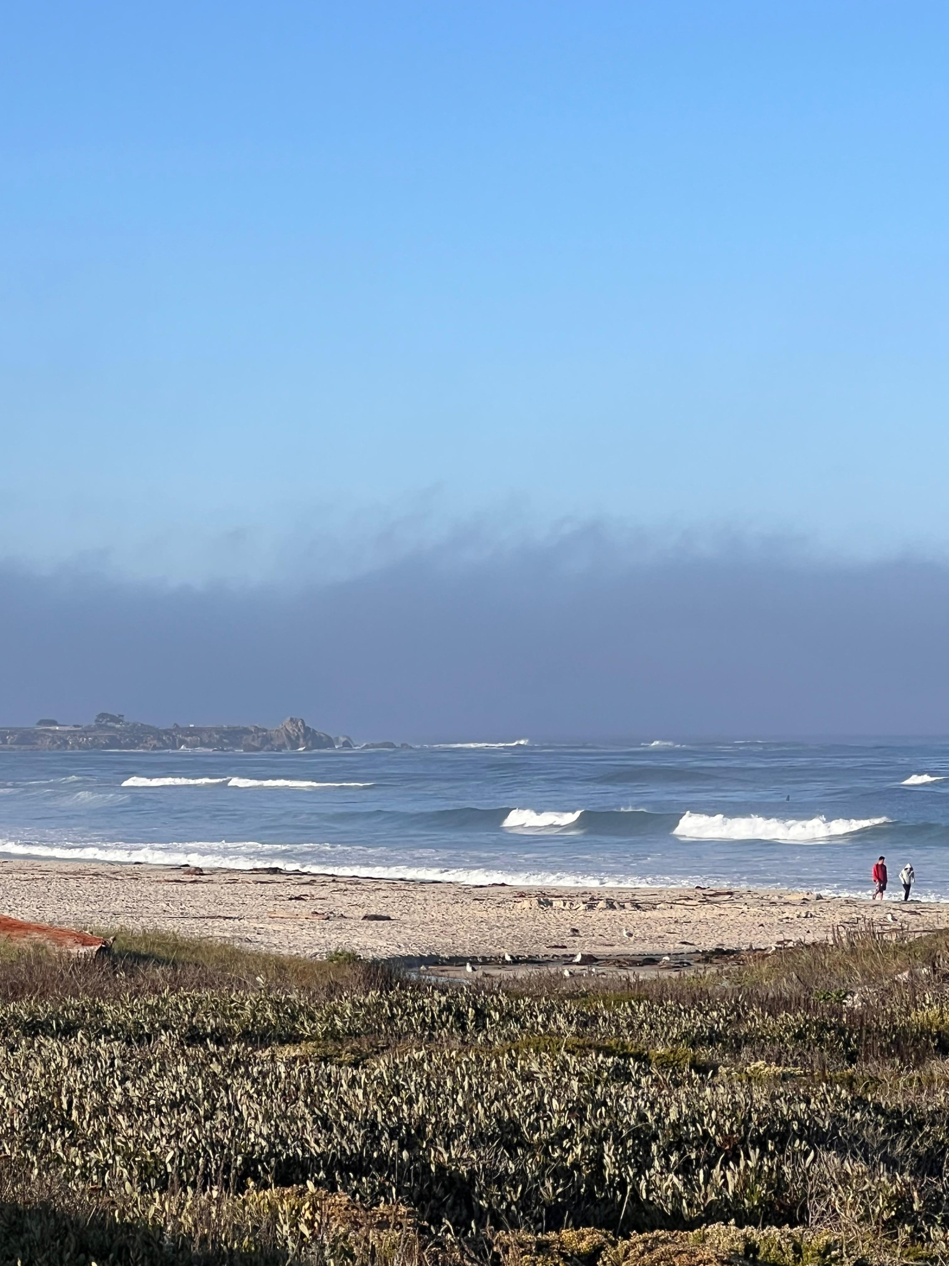 Another beautiful day at Asilomar beach. 
