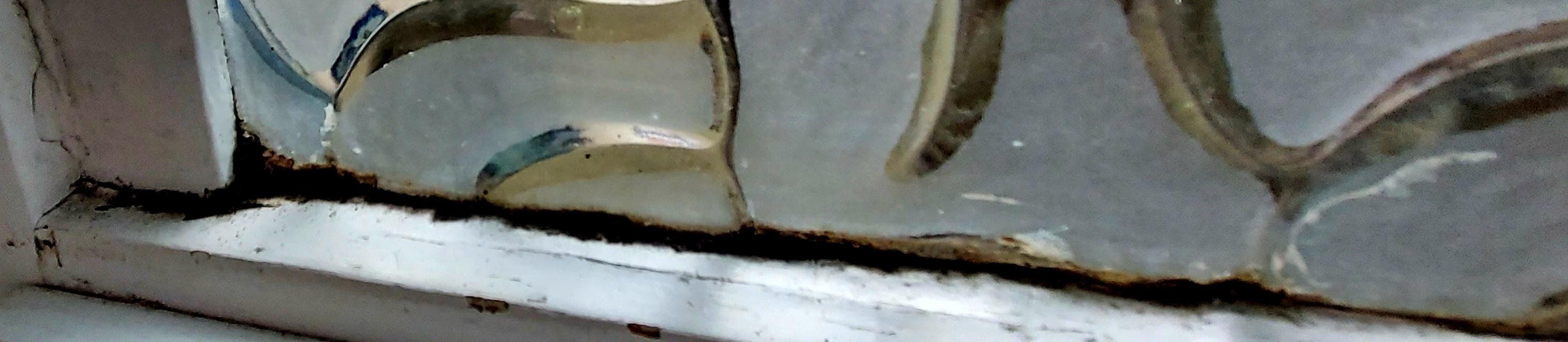 Schimmel am Glas an der Haustür 