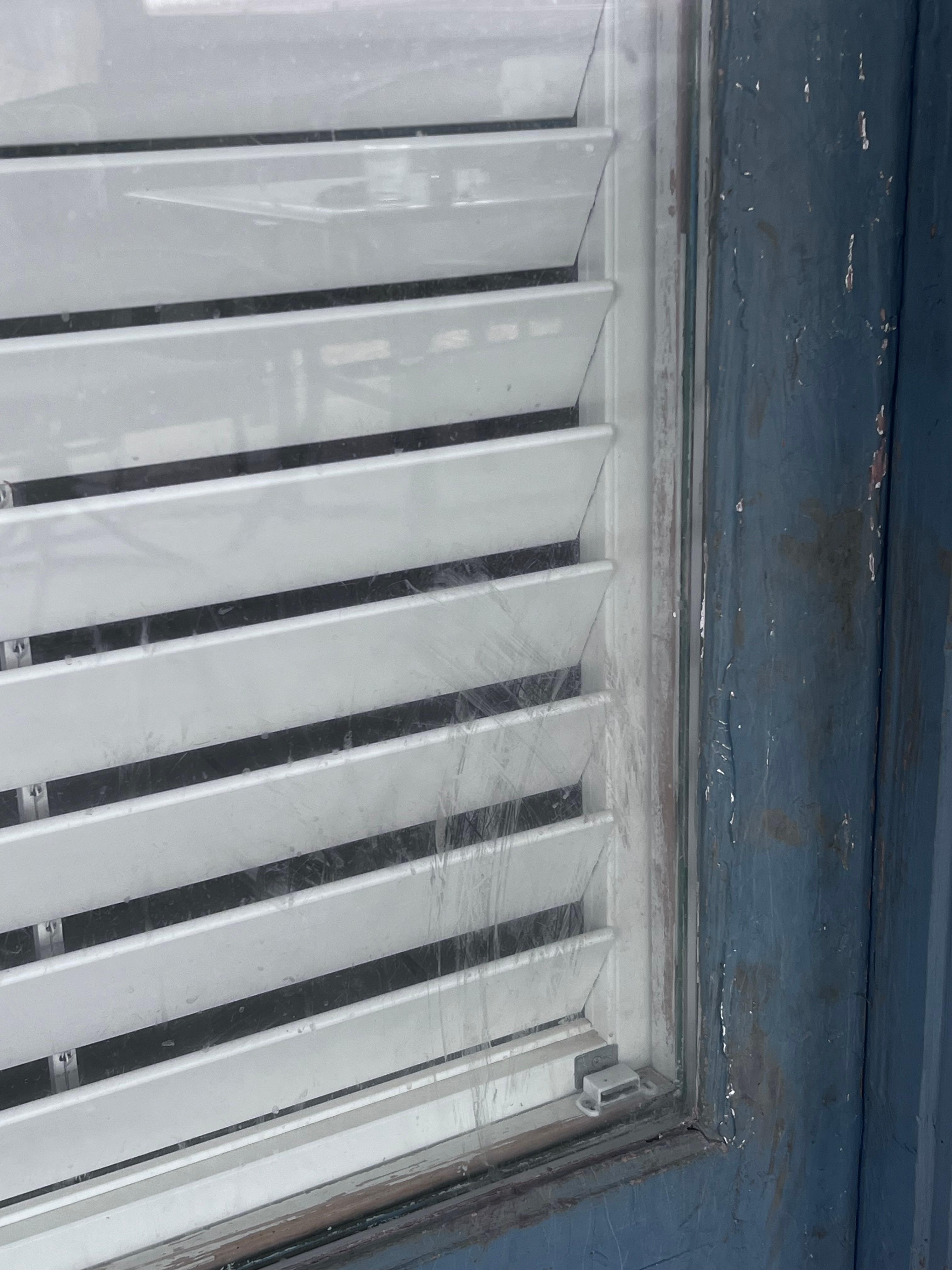 Dog smears on the back door 