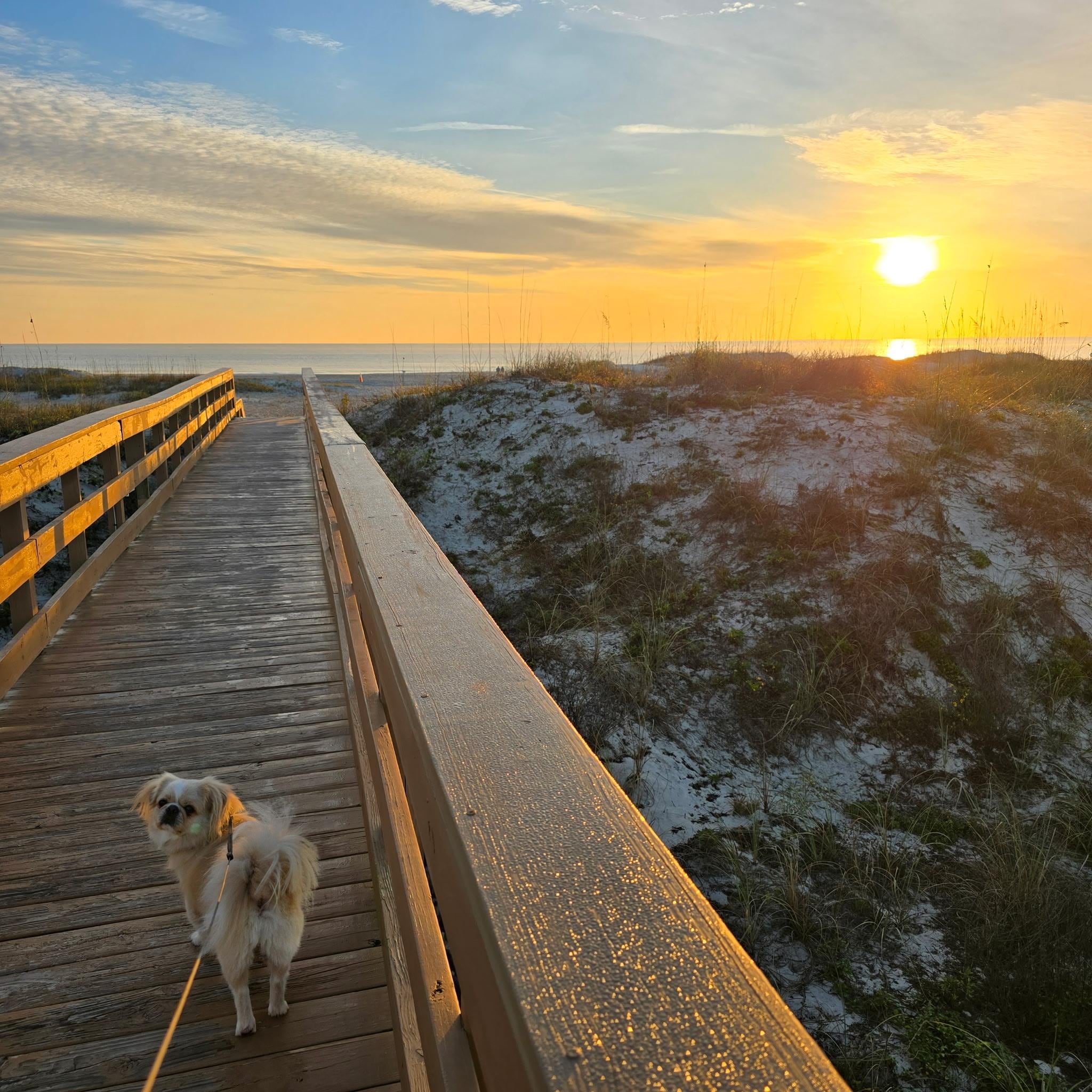 The walk to the beach 