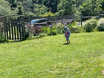 Beautiful yard and flowers.
