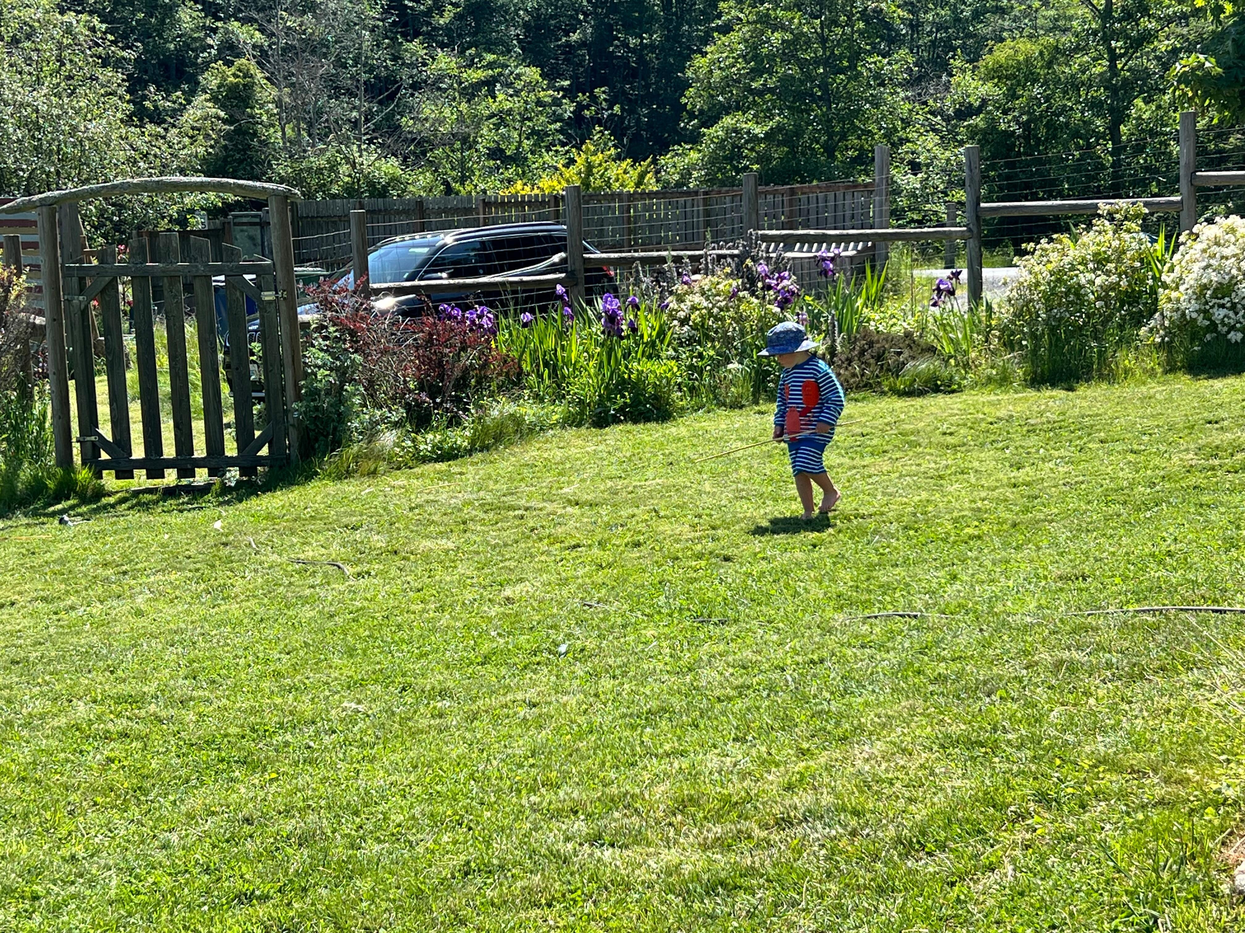 Beautiful yard and flowers. 