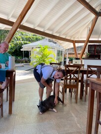 Lolo and Negrita! 🐷