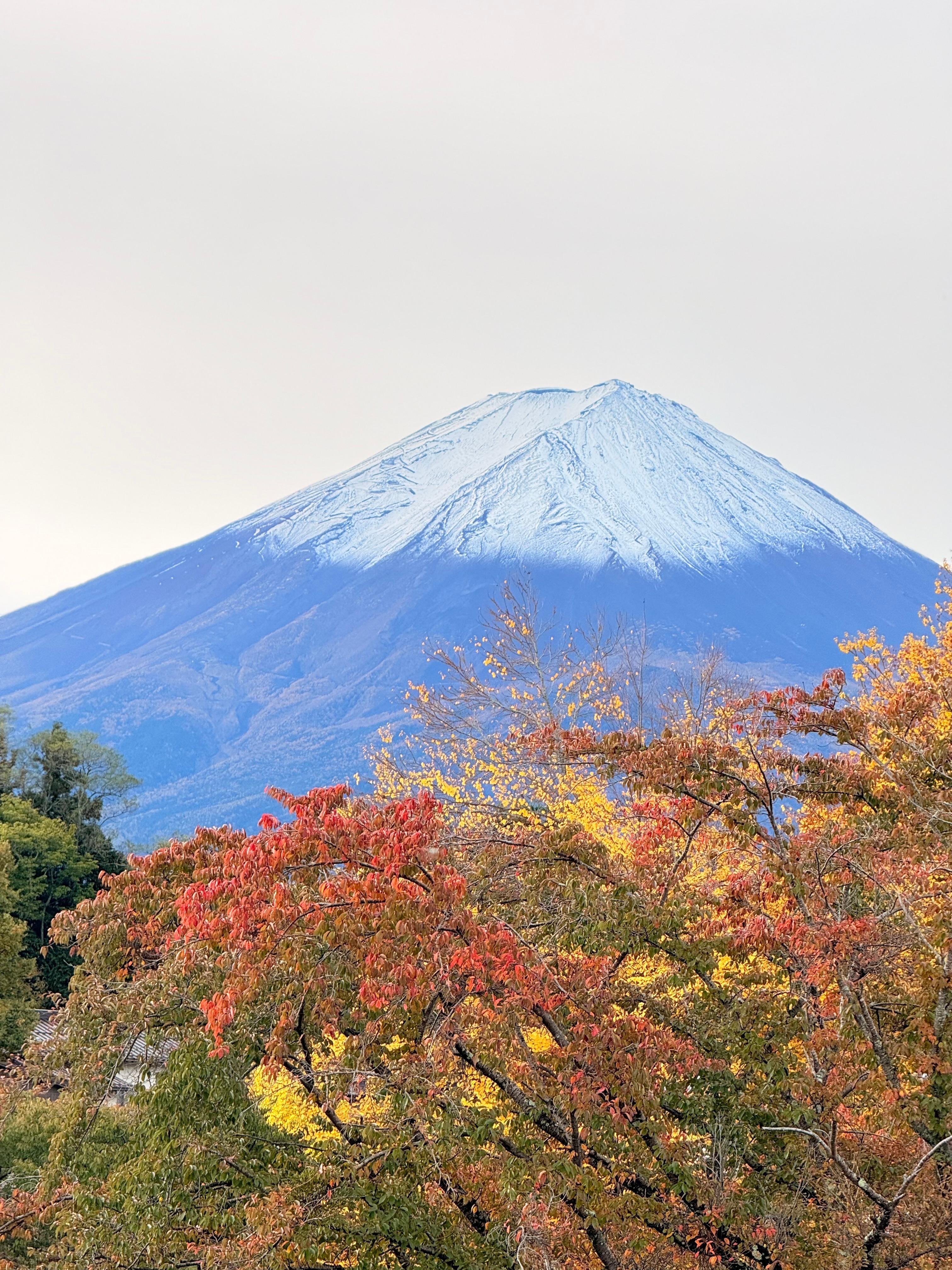 Fall of Mt Fuji