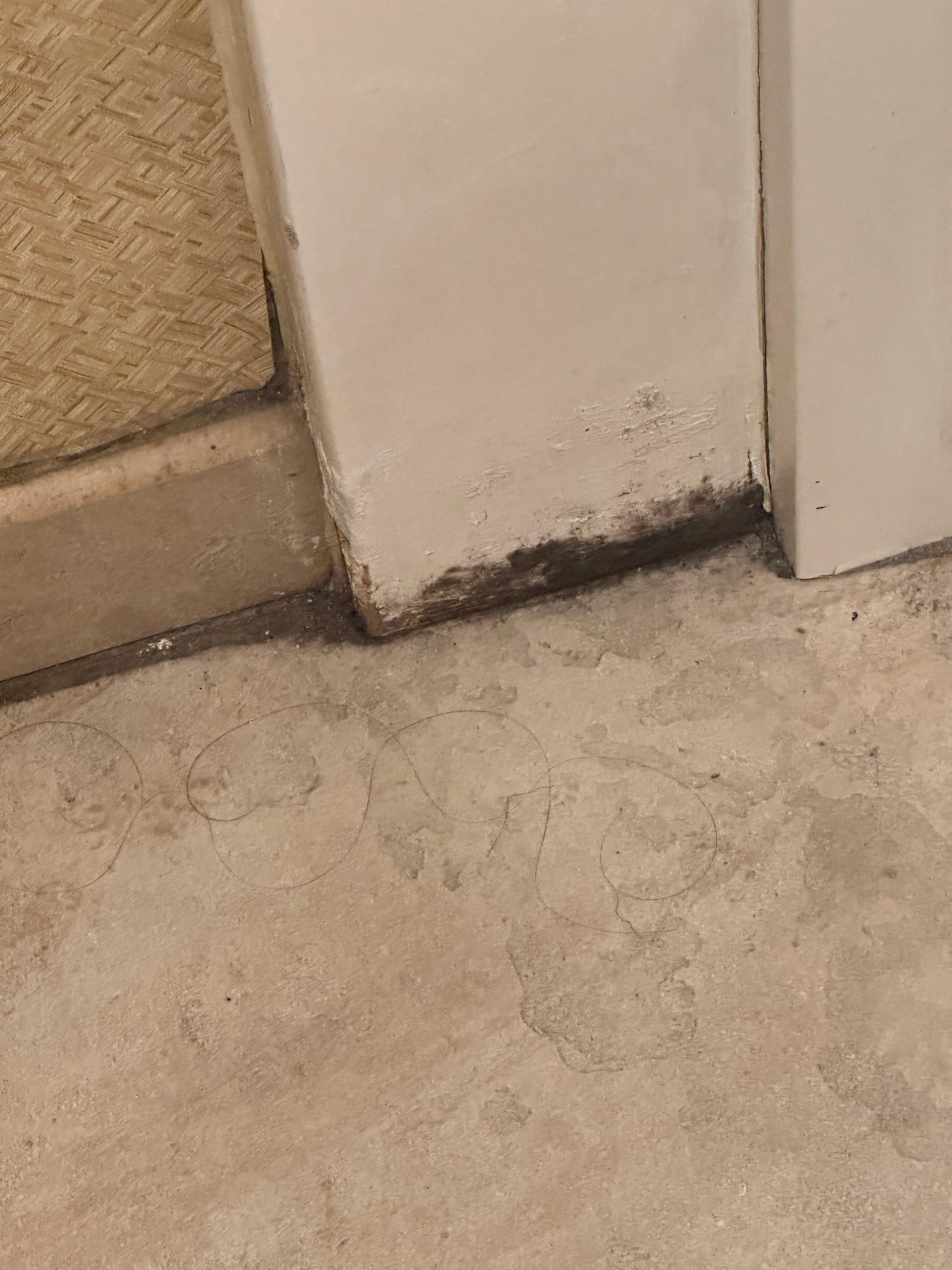 Mold in bathroom 