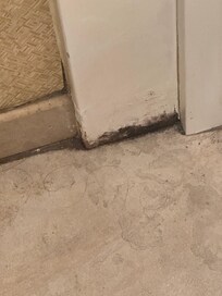 Mold in bathroom