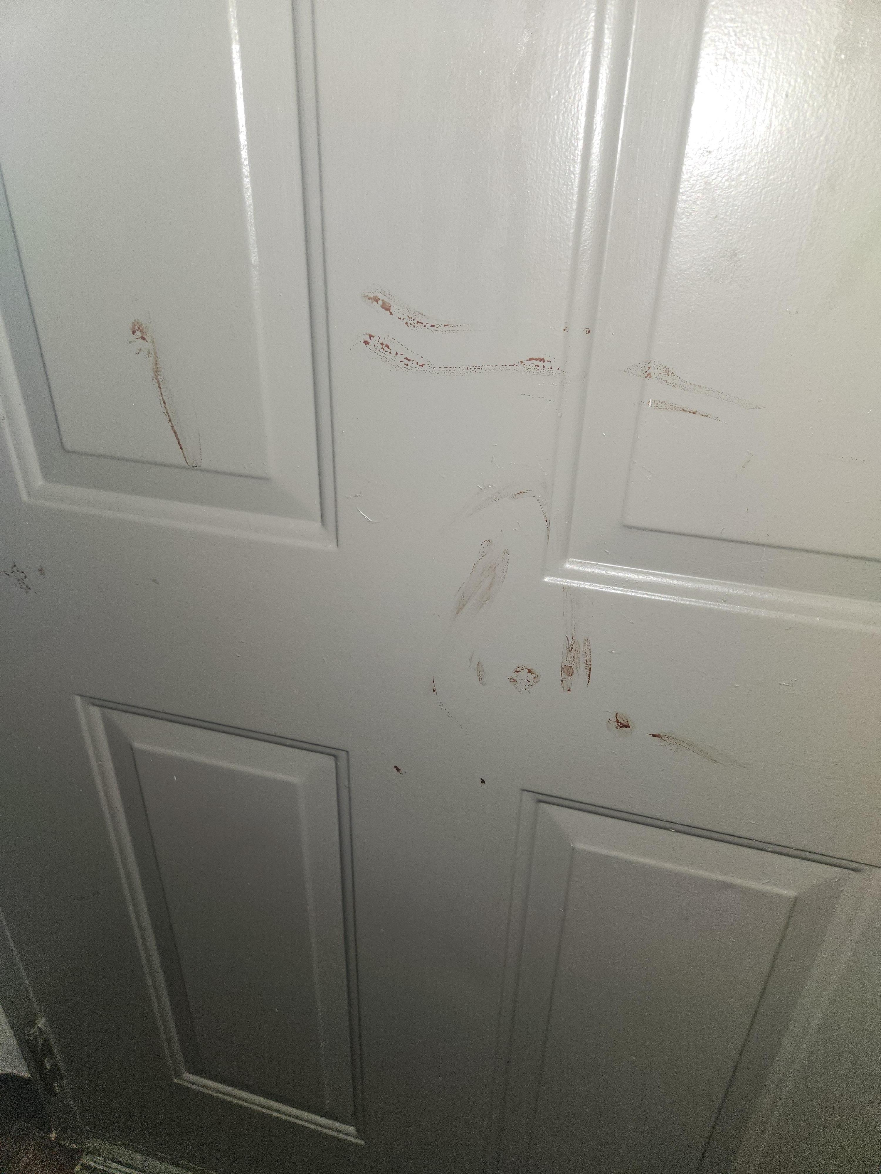 Bloody finger marks on door. 