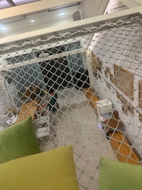cute net to hang out and read