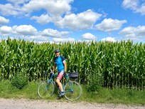 Cornfields as well