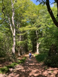 Le Bois du Breuil