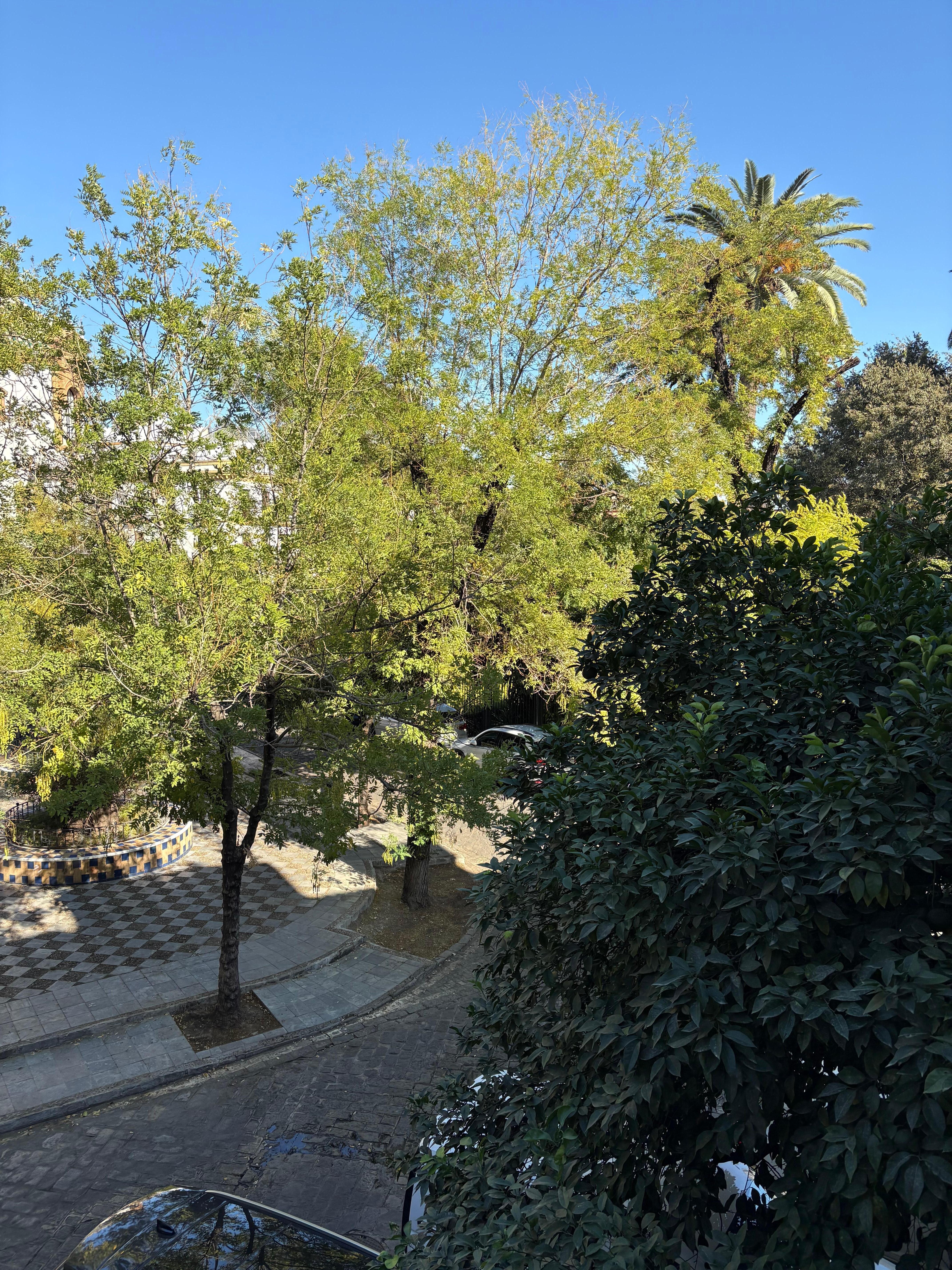 Park right off parking lot. 