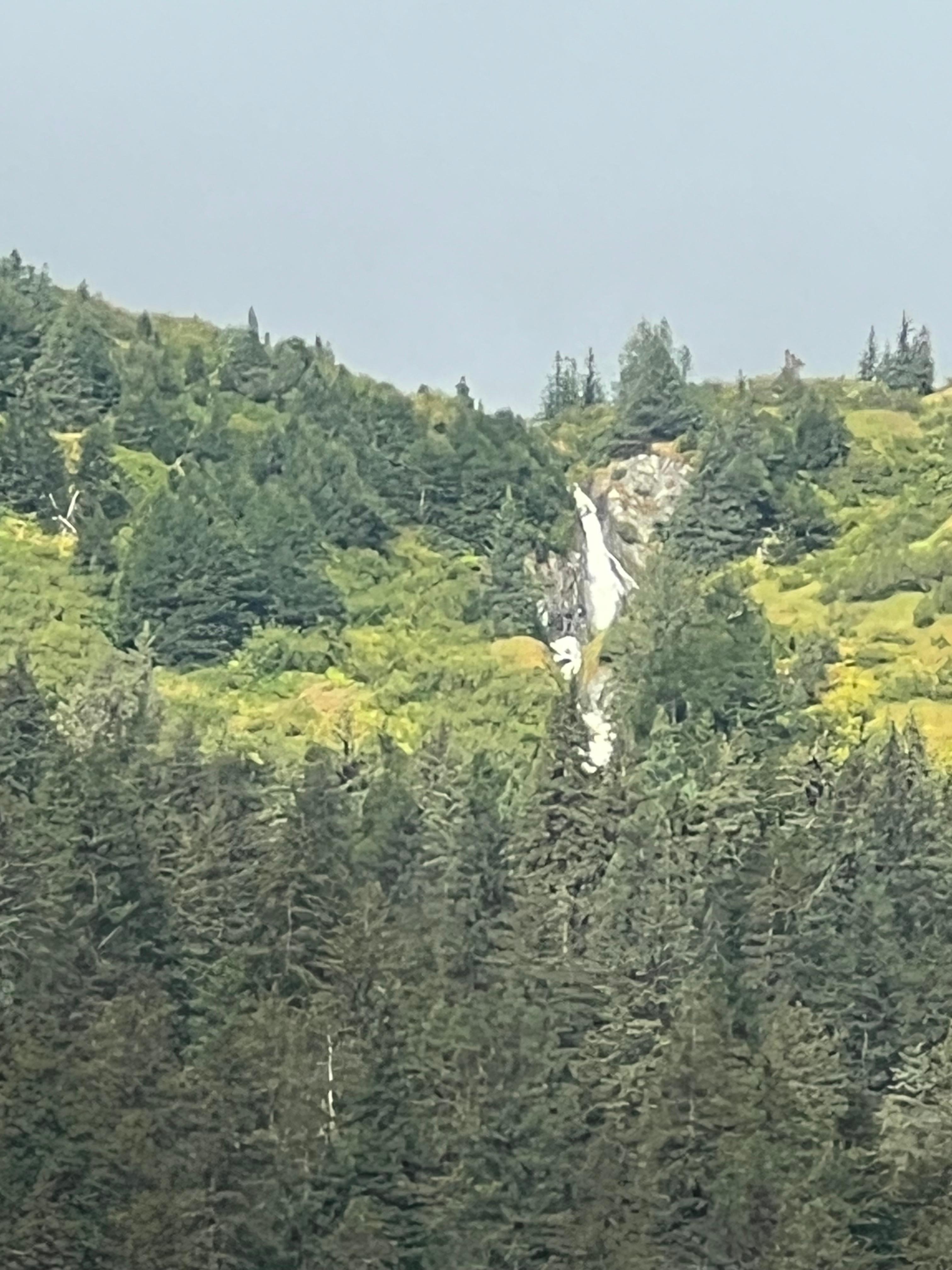Waterfall view from my room
