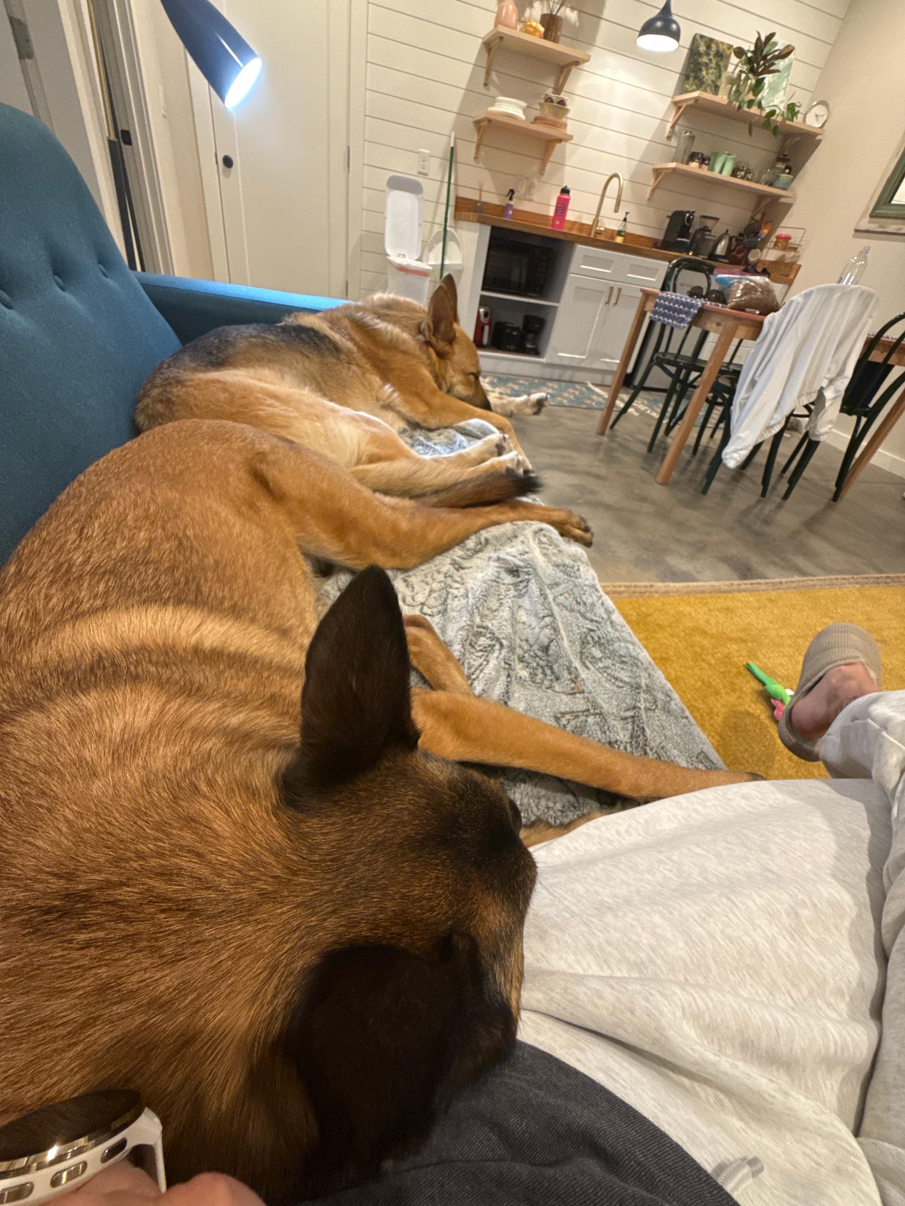 Quiet and relaxing for all of us. 