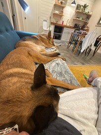 Quiet and relaxing for all of us.