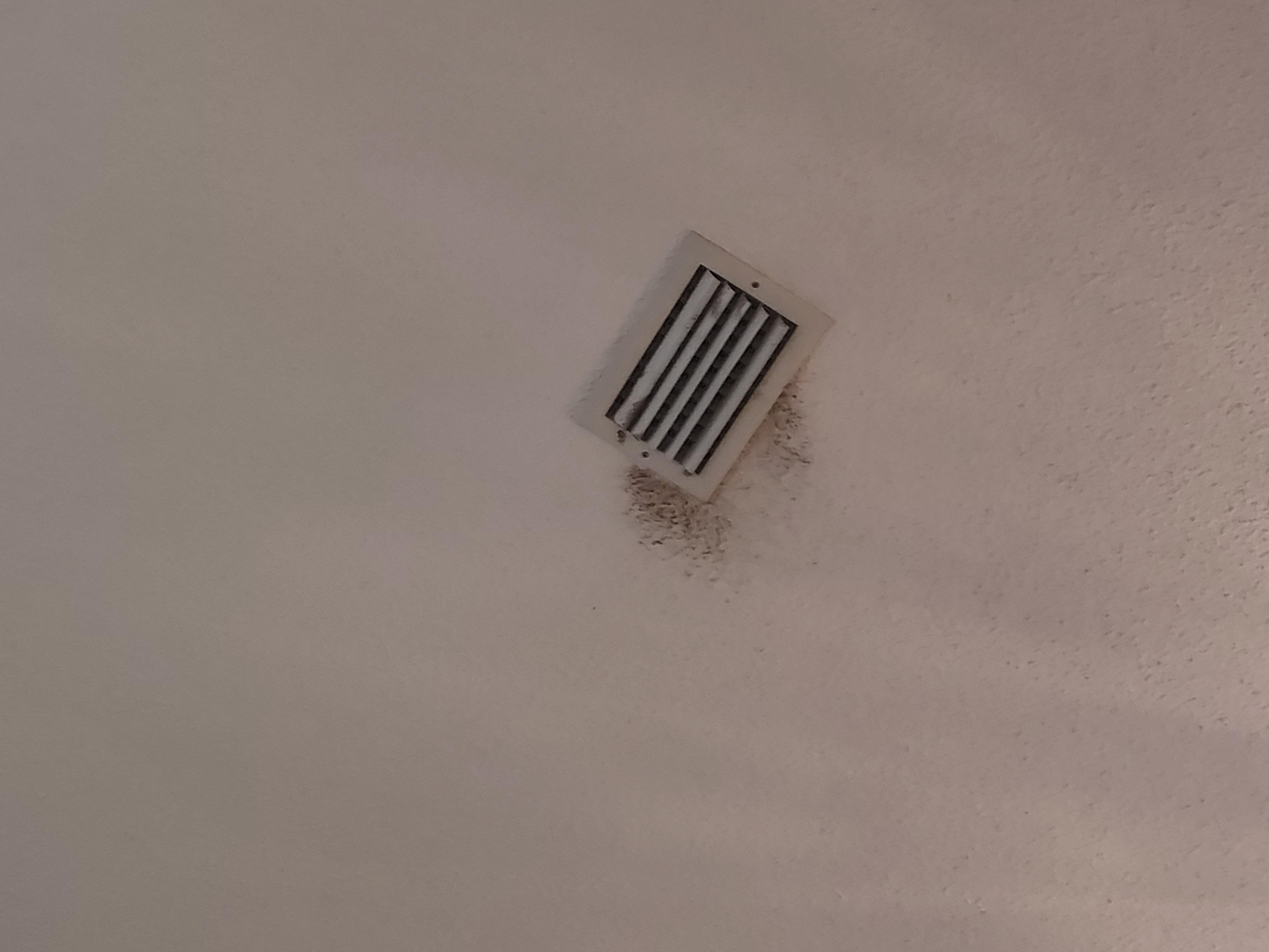 Black mold on ceiling