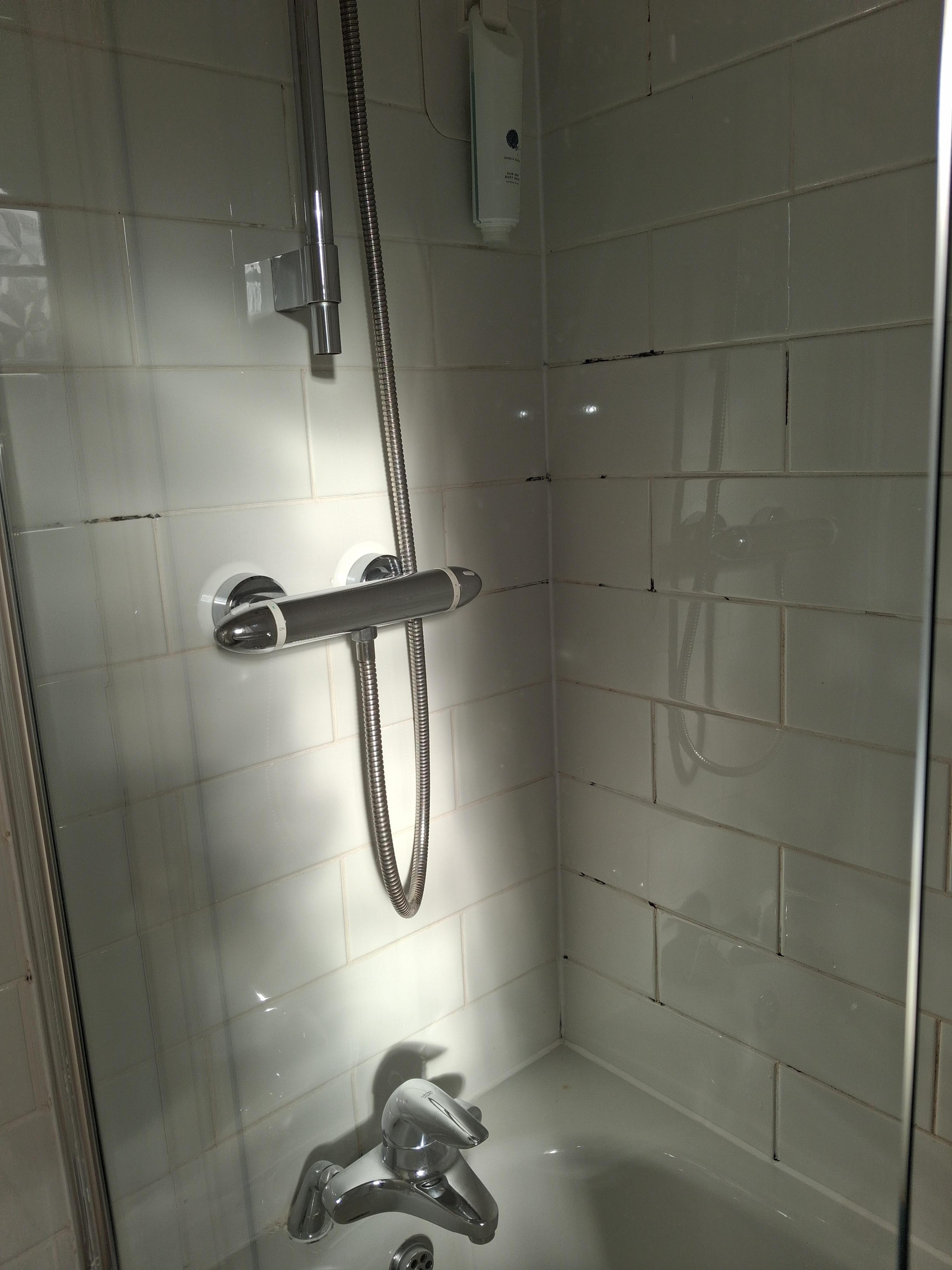 Mould on grouting.  Need scrubbing with mould remover