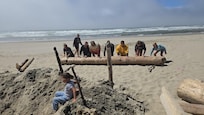 We found a very large log and rolled in down the beach to make a wind block.  It was really fun to work together.