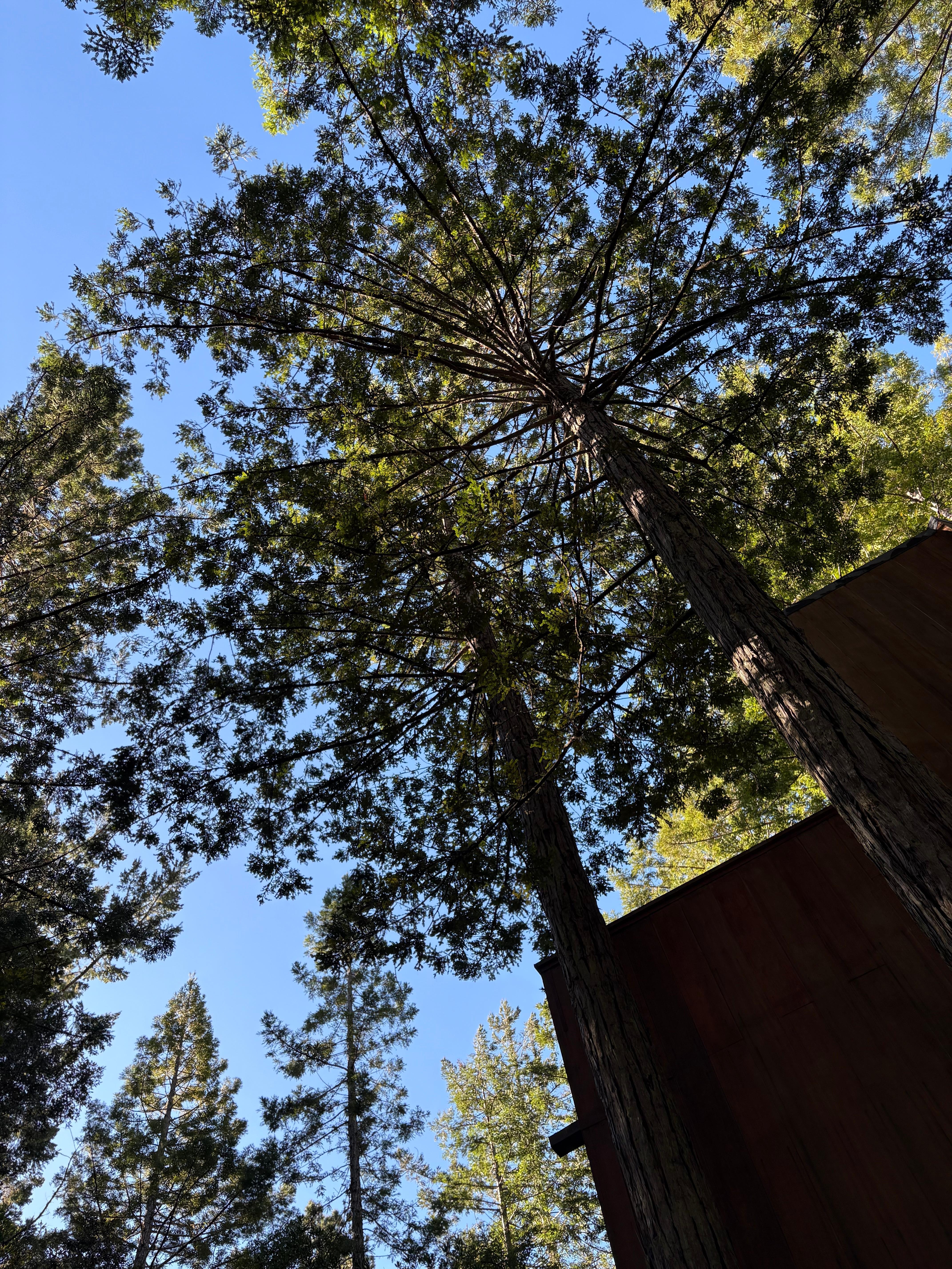 View from the hot tub