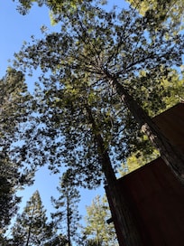 View from the hot tub