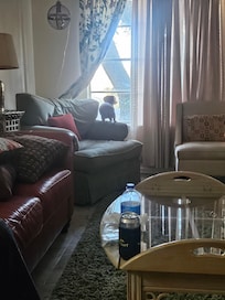 Our dachshund Millie felt right at home, looking out the window