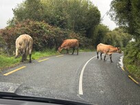 Driving the Gap