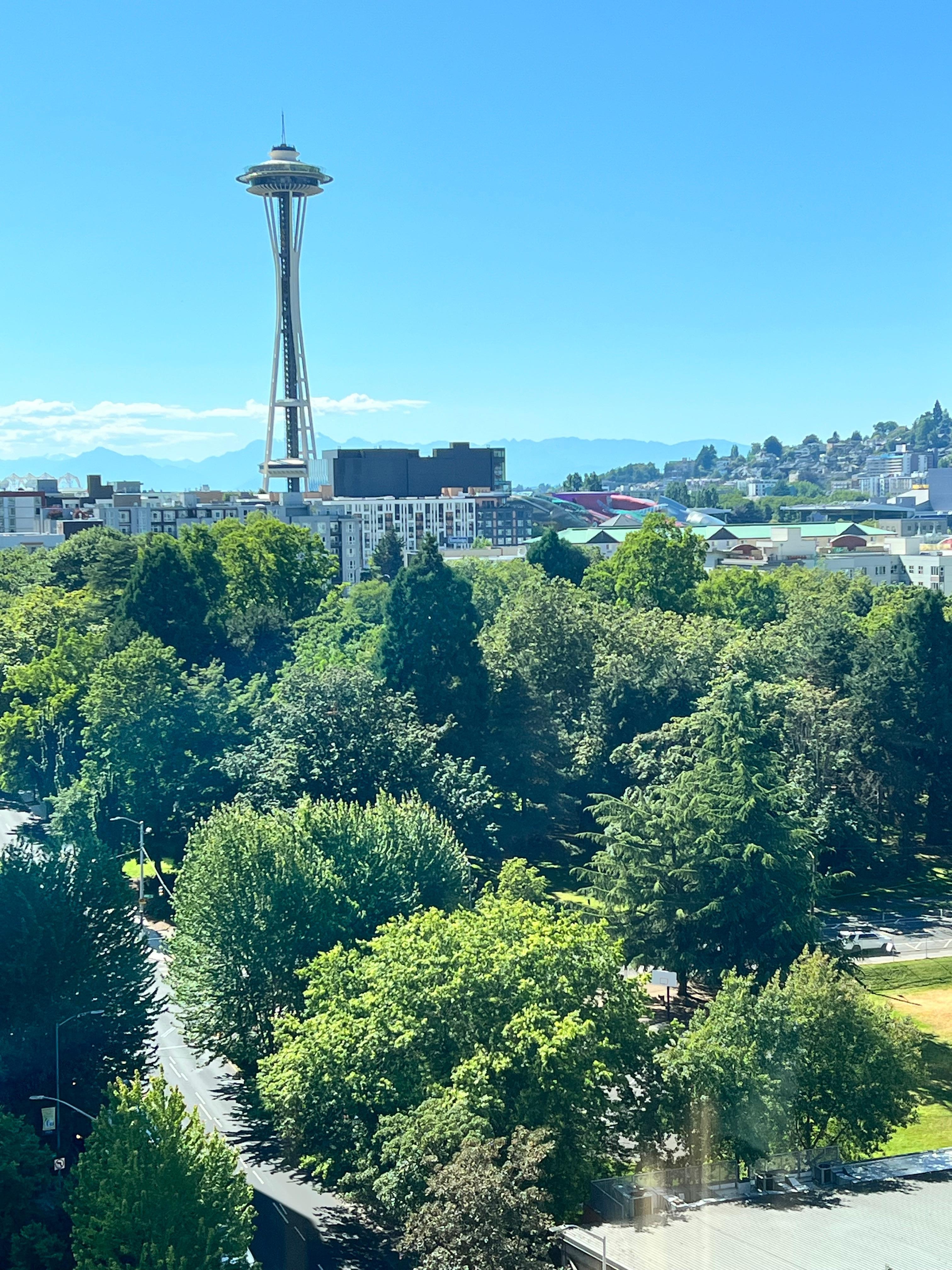 View from the room