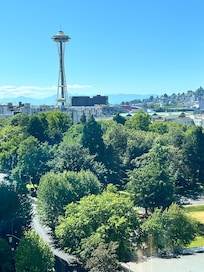 View from the room