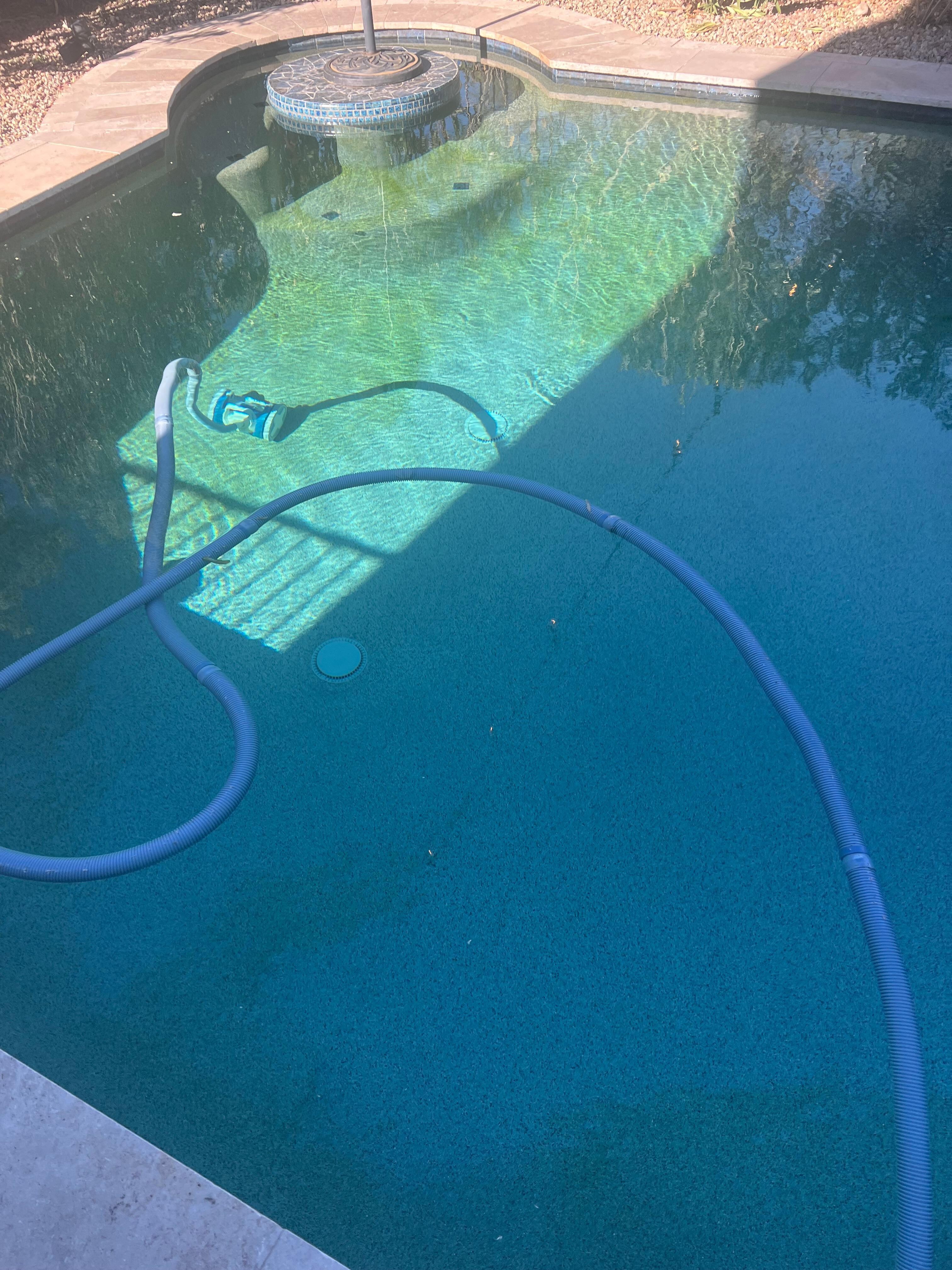 You can see the algae in the dark green and the line where the pool sweeper has attempted to clean it up. 