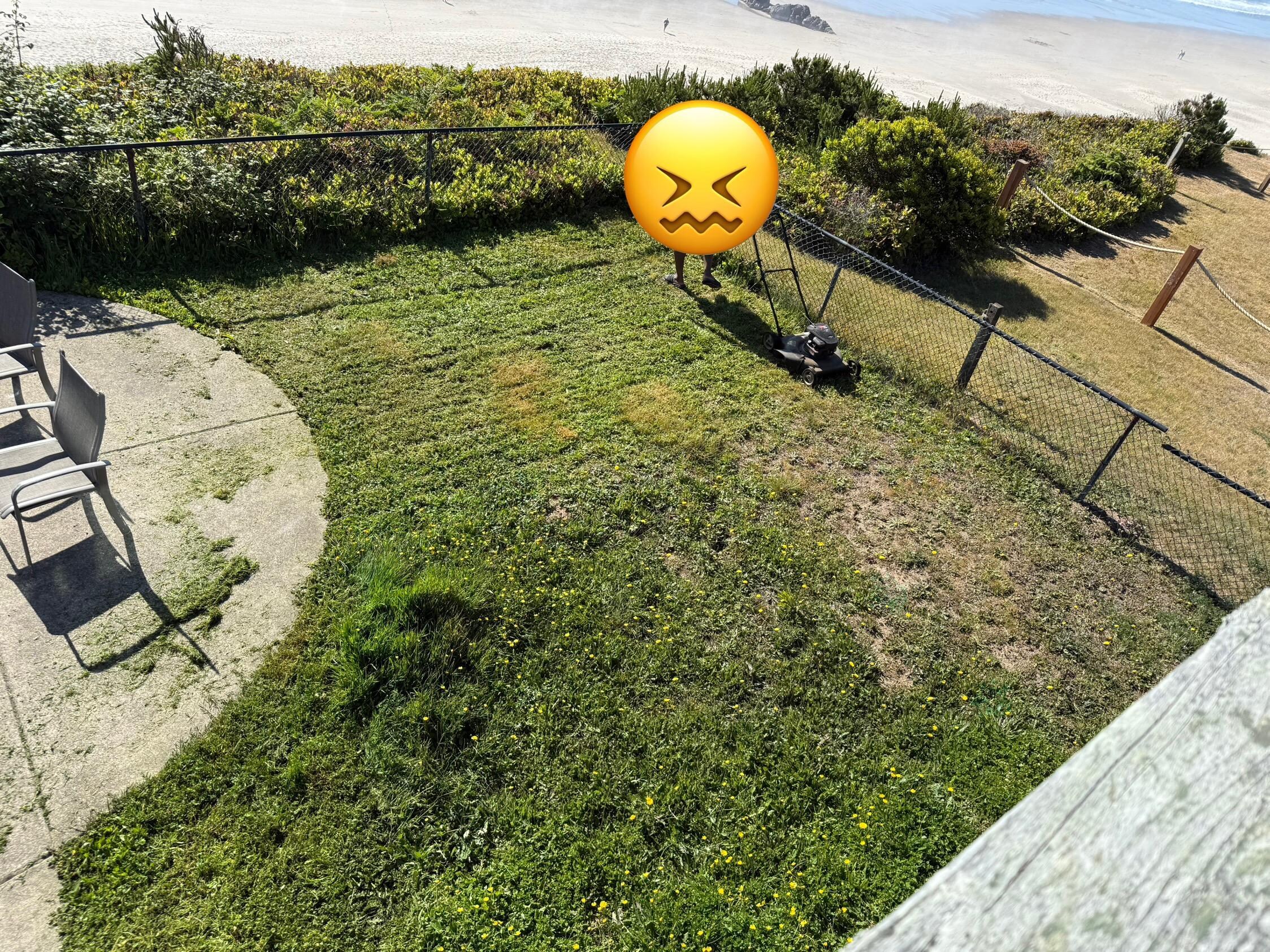 Had to low the lawn ourselves 