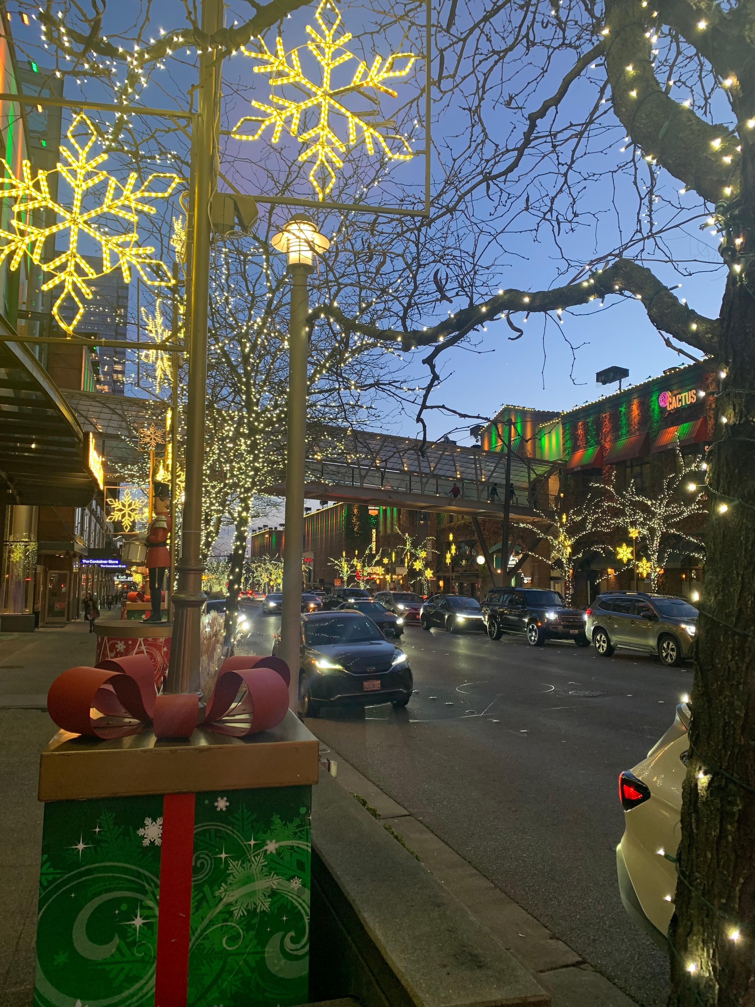 Snowflake lane was right around the corner 