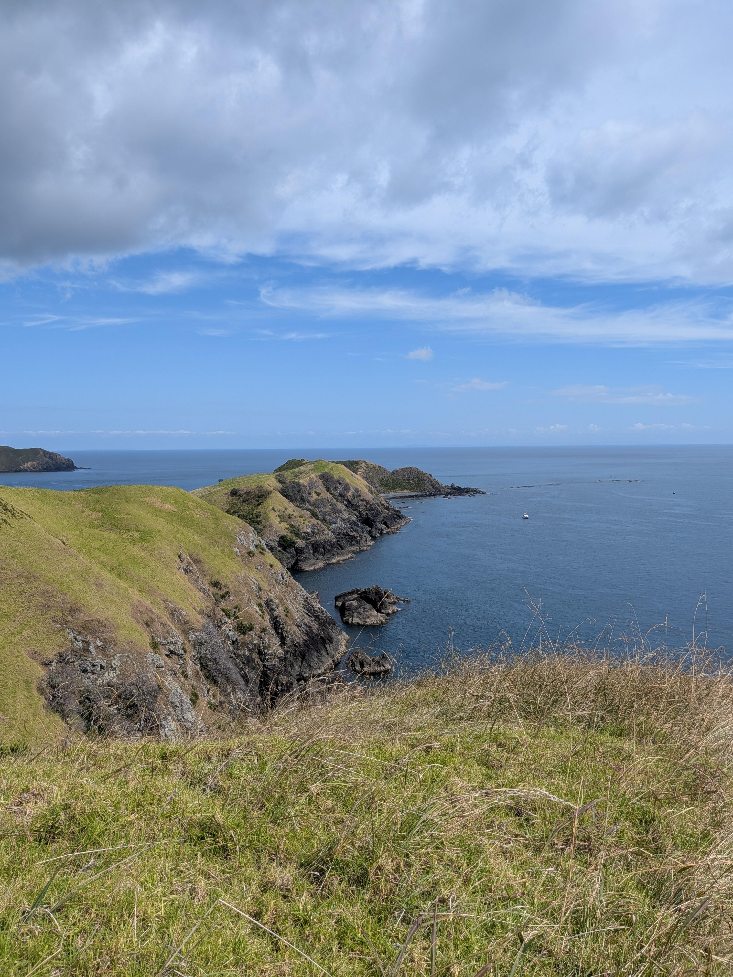 View on the Muriwai walk east of Port Jackson.