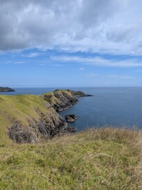 View on the Muriwai walk east of Port Jackson.