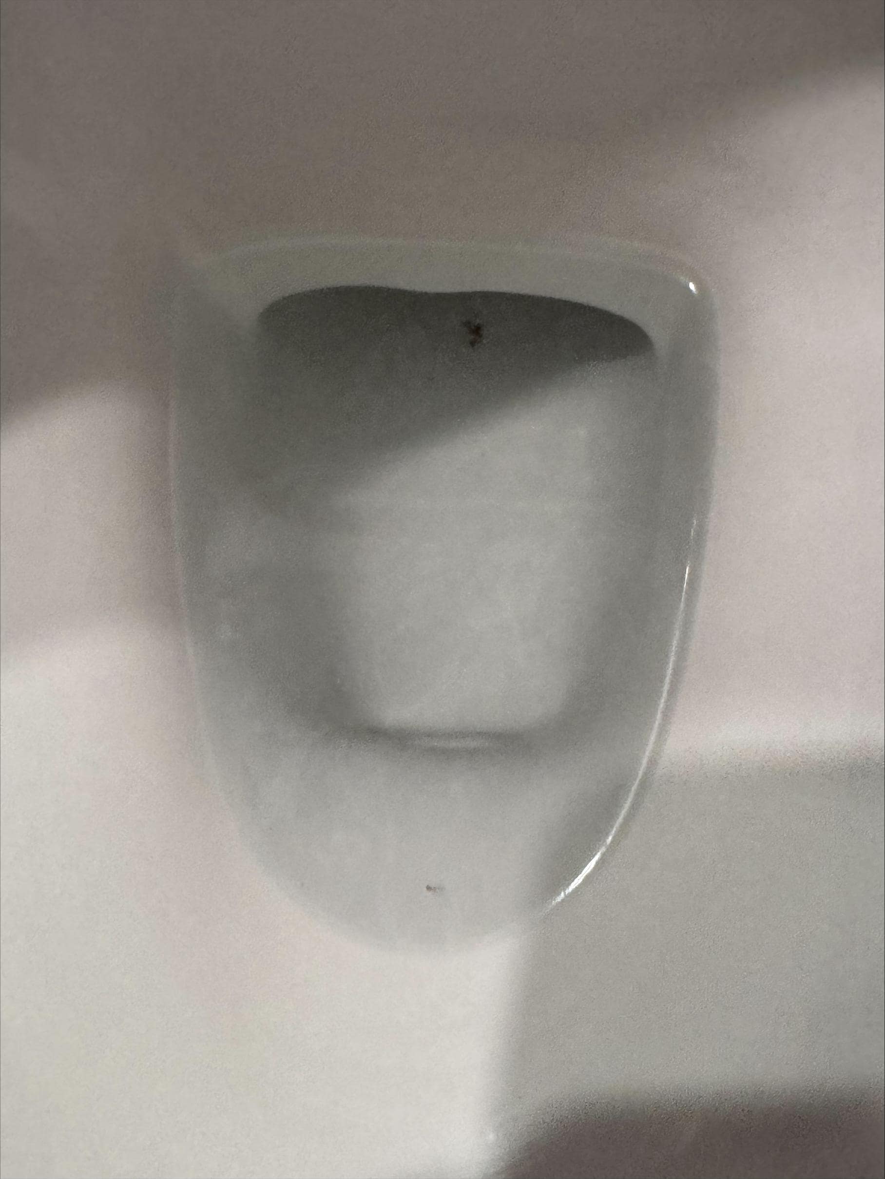 Dirty Toilet with "Clean Wrapper"