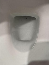 Dirty Toilet with "Clean Wrapper"