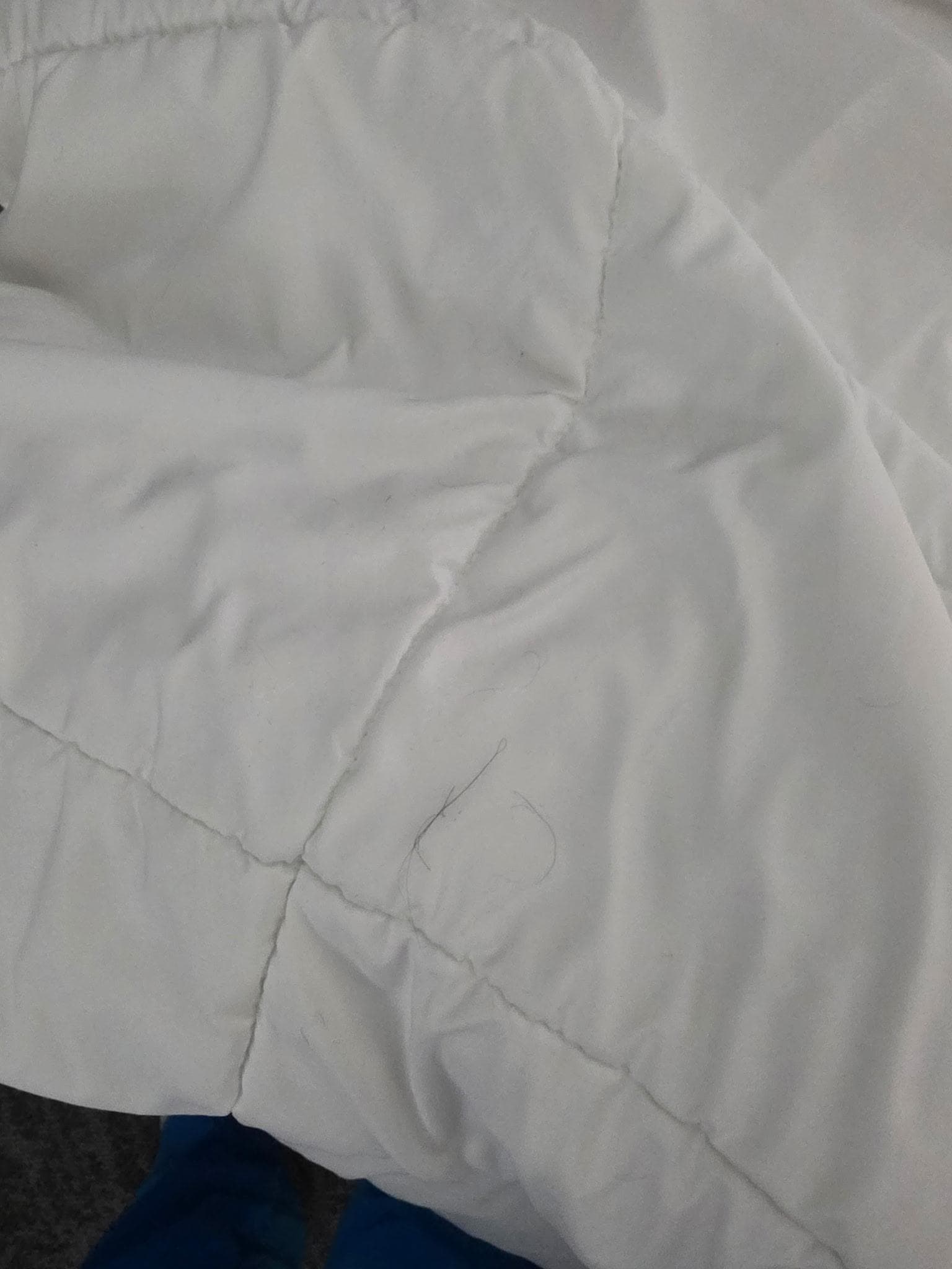Hair on duvet