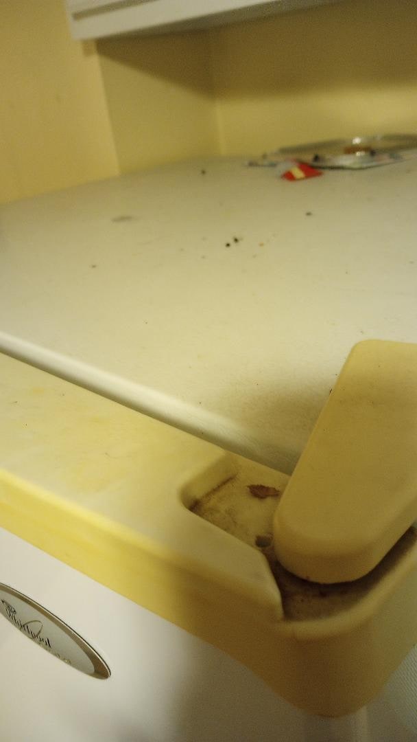 dirt and dead fly on top of the fridge when we checked in