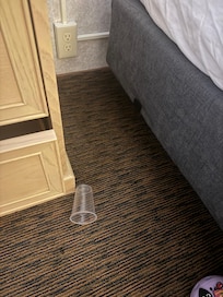 Trash from under the bed