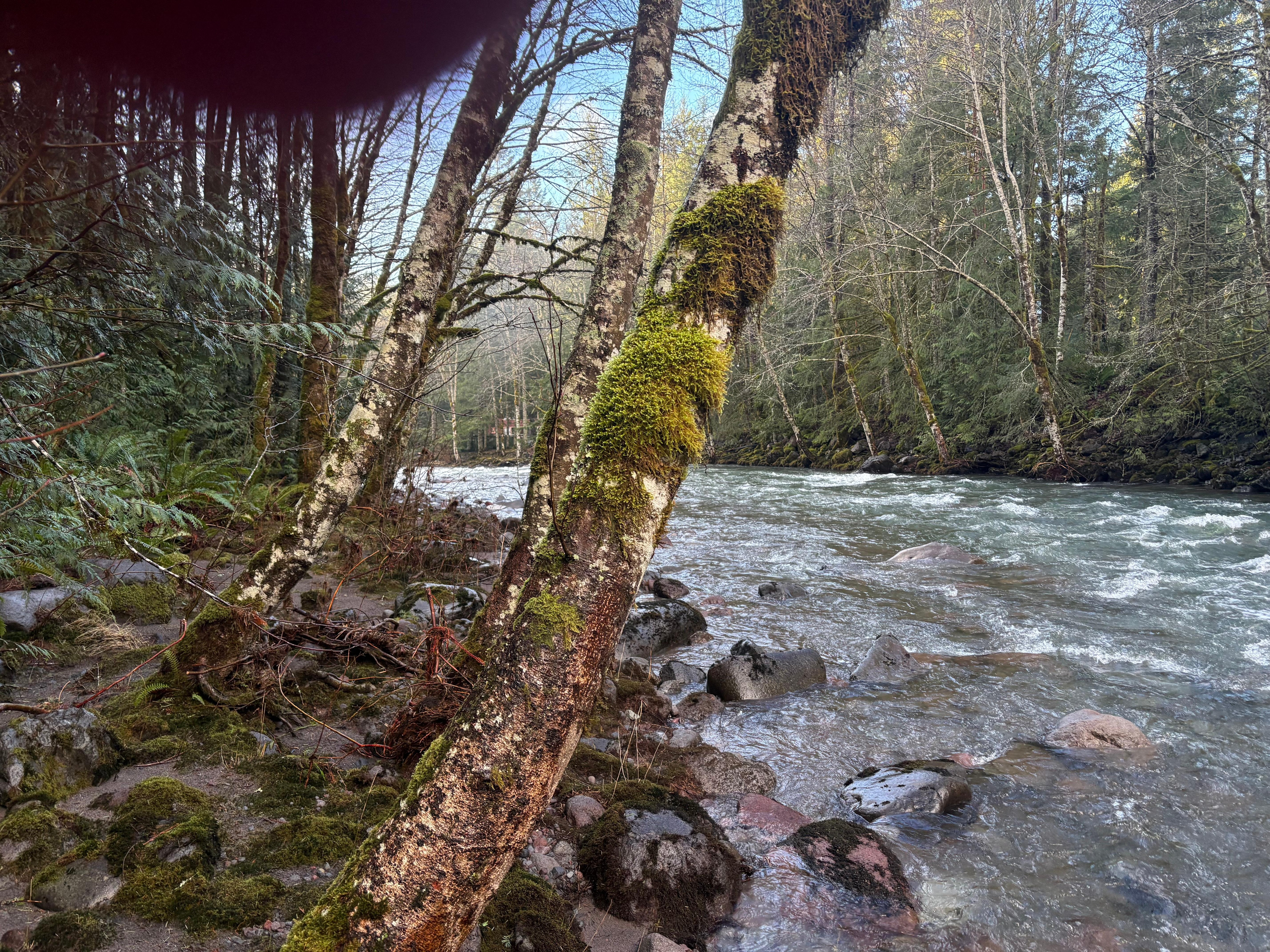 River right out the back door