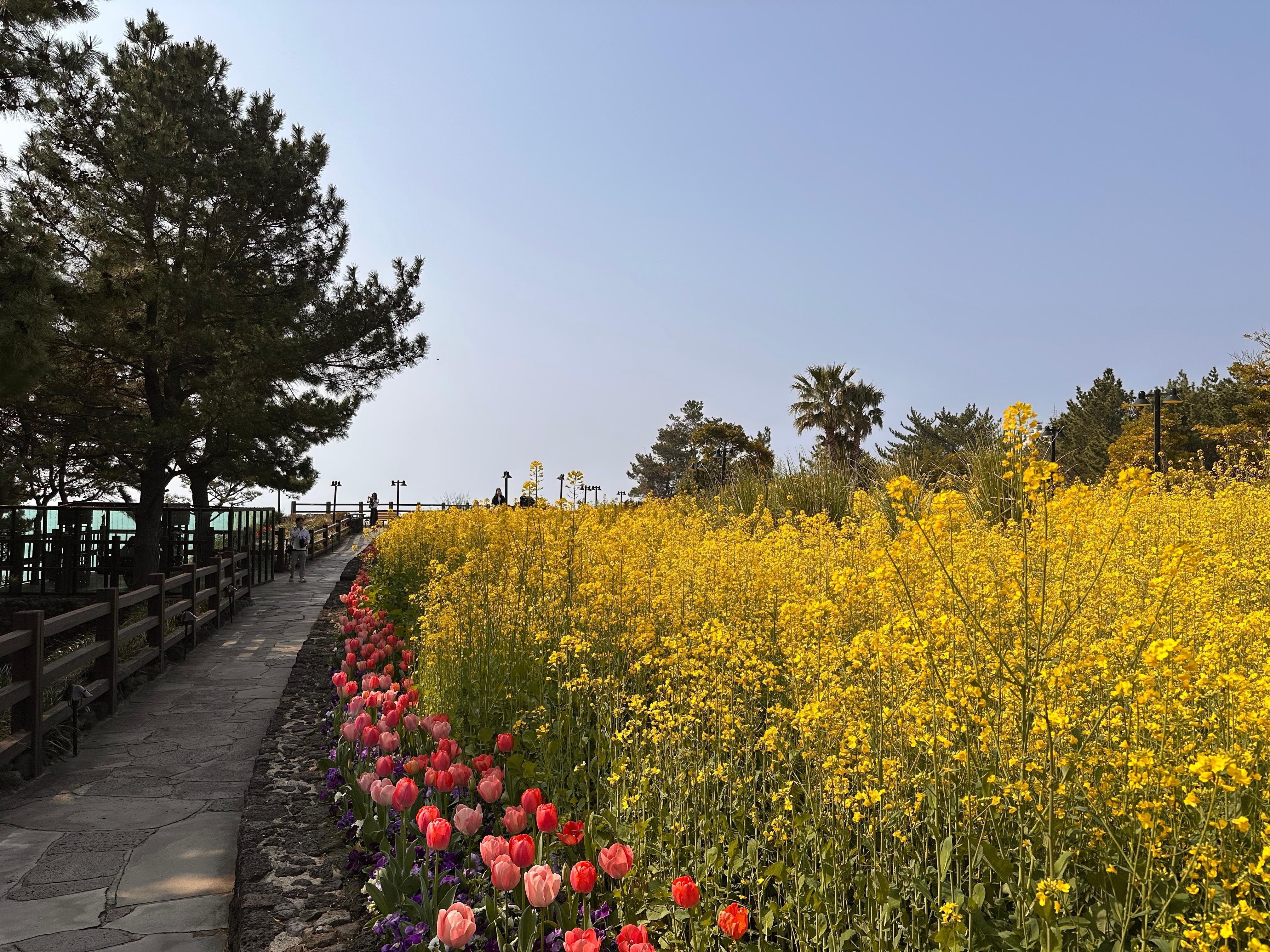 호텔 앞 정원, 걷기좋음