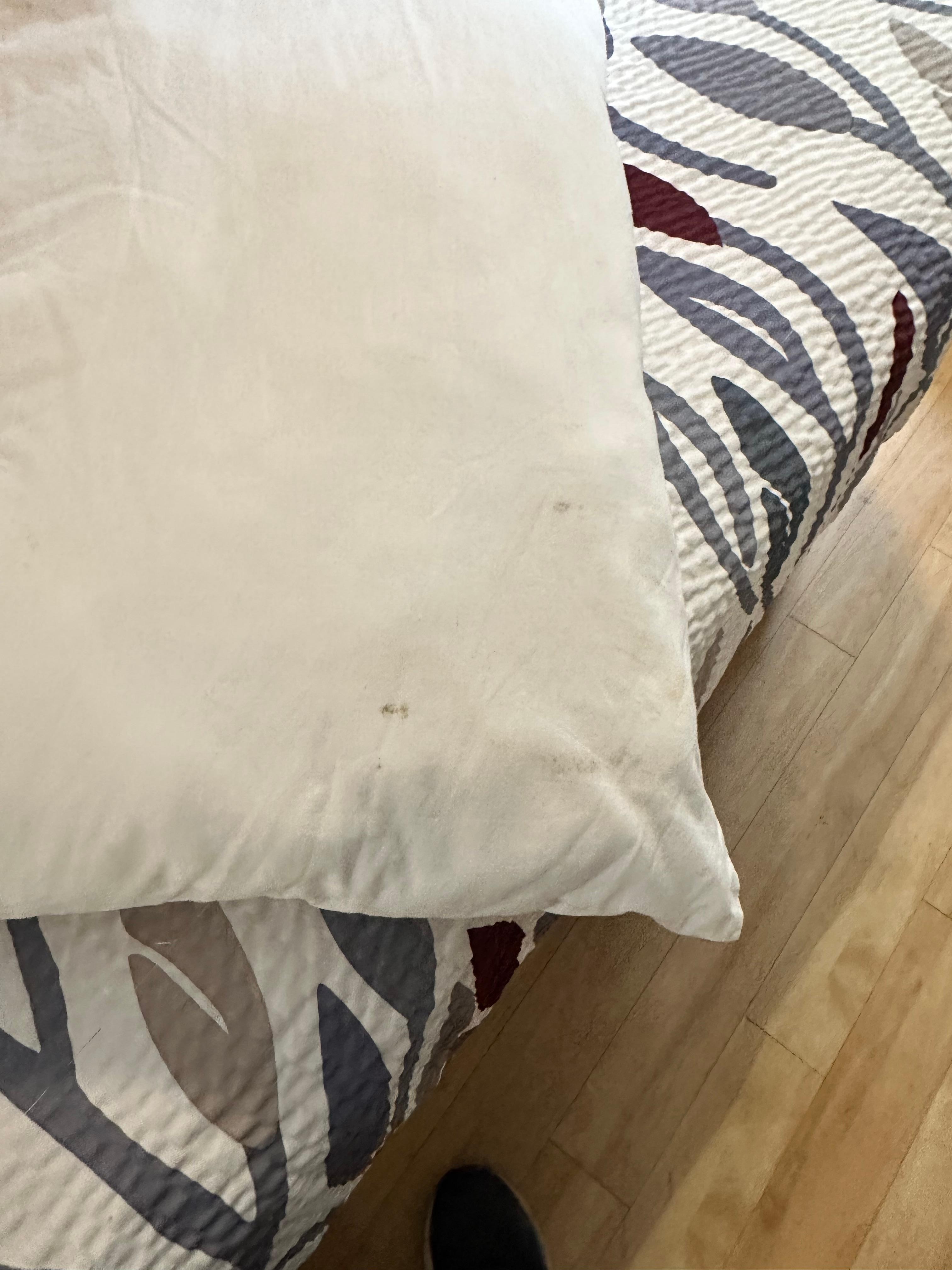 The pillows had black and brown spots on them.