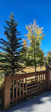 View from the deck