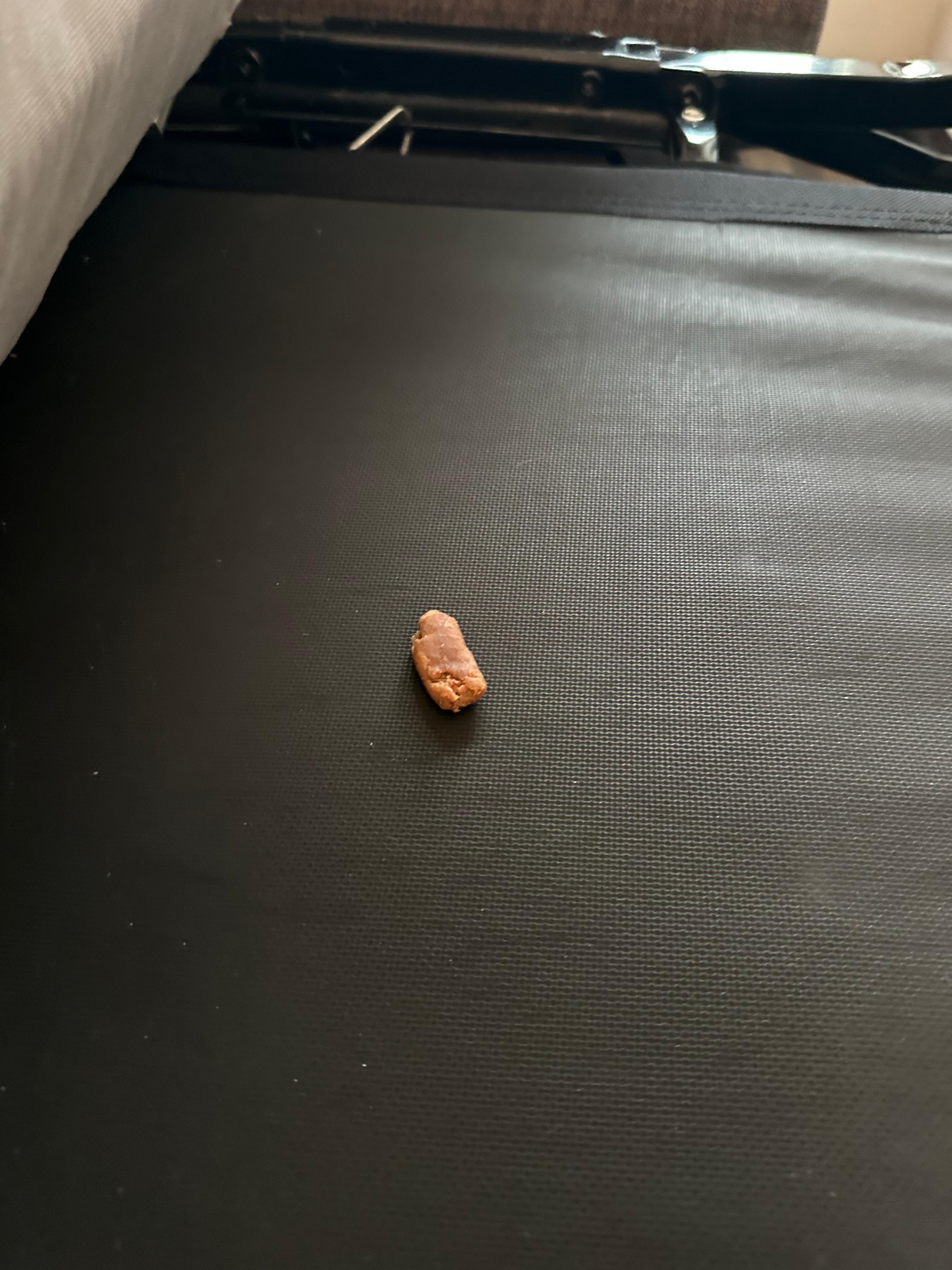 Nasty something that fell out of first sofa bed