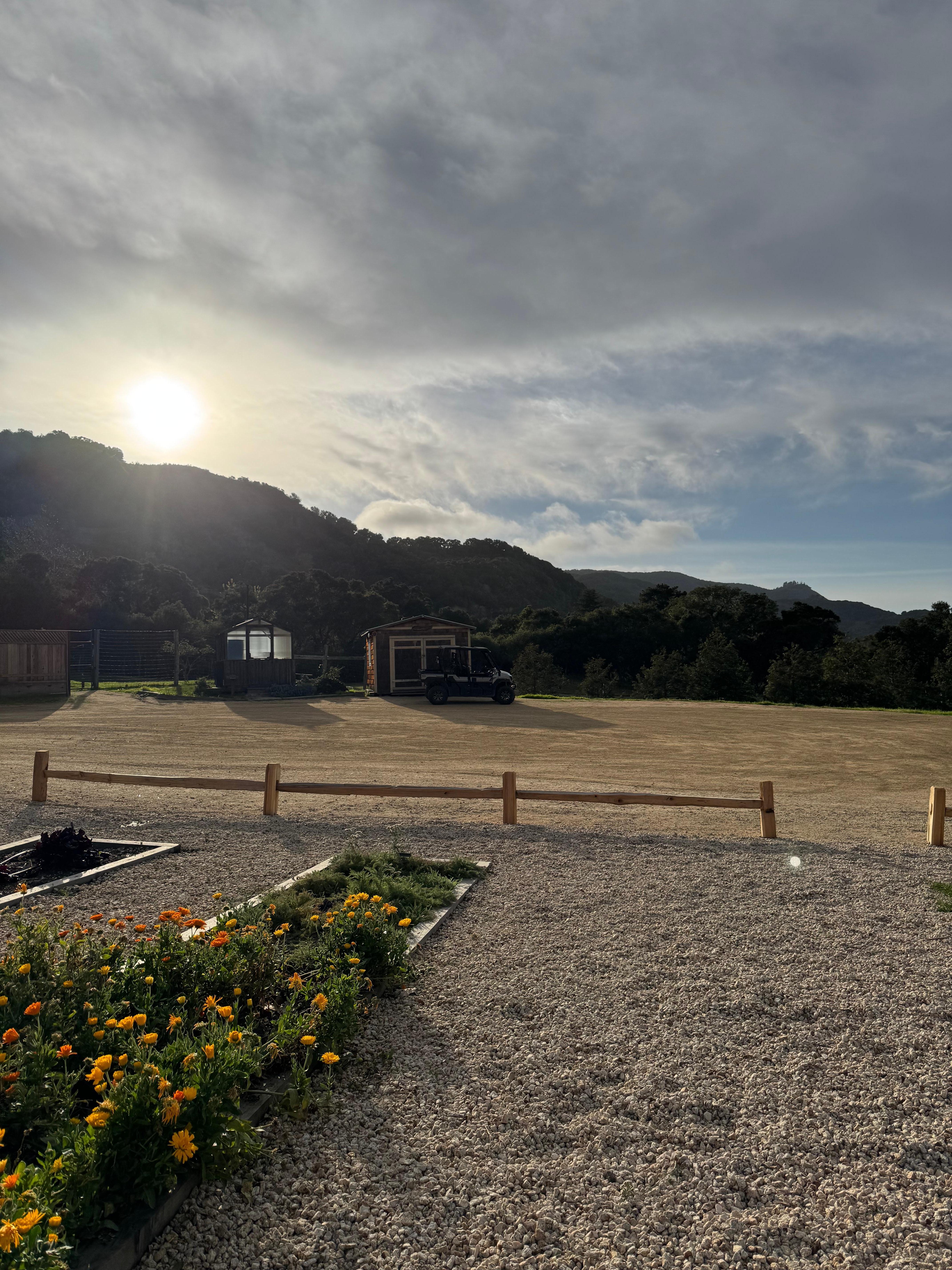 Organic garden views on property