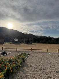 Organic garden views on property