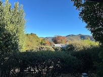 View from back patio