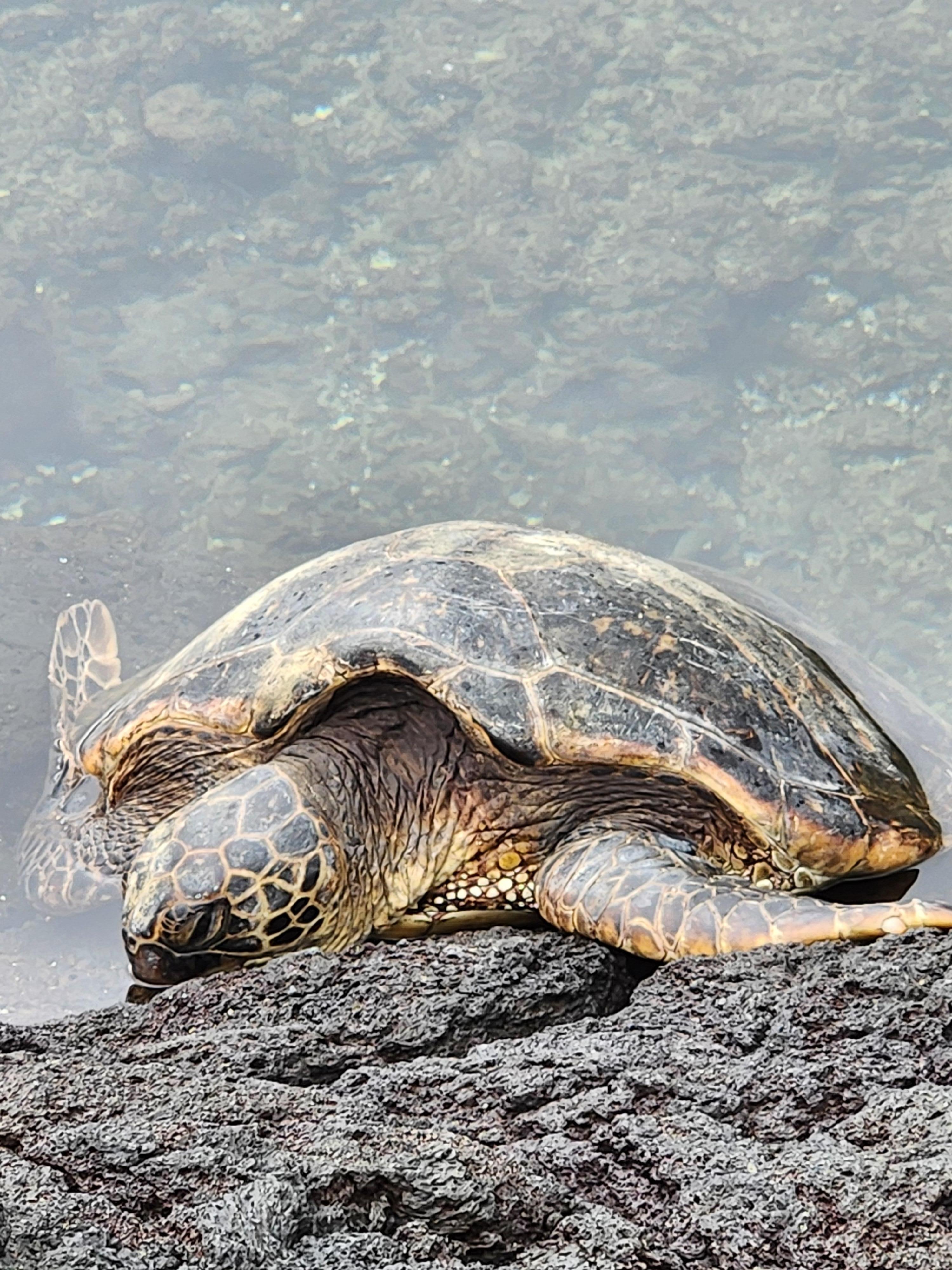 Across the street from rental