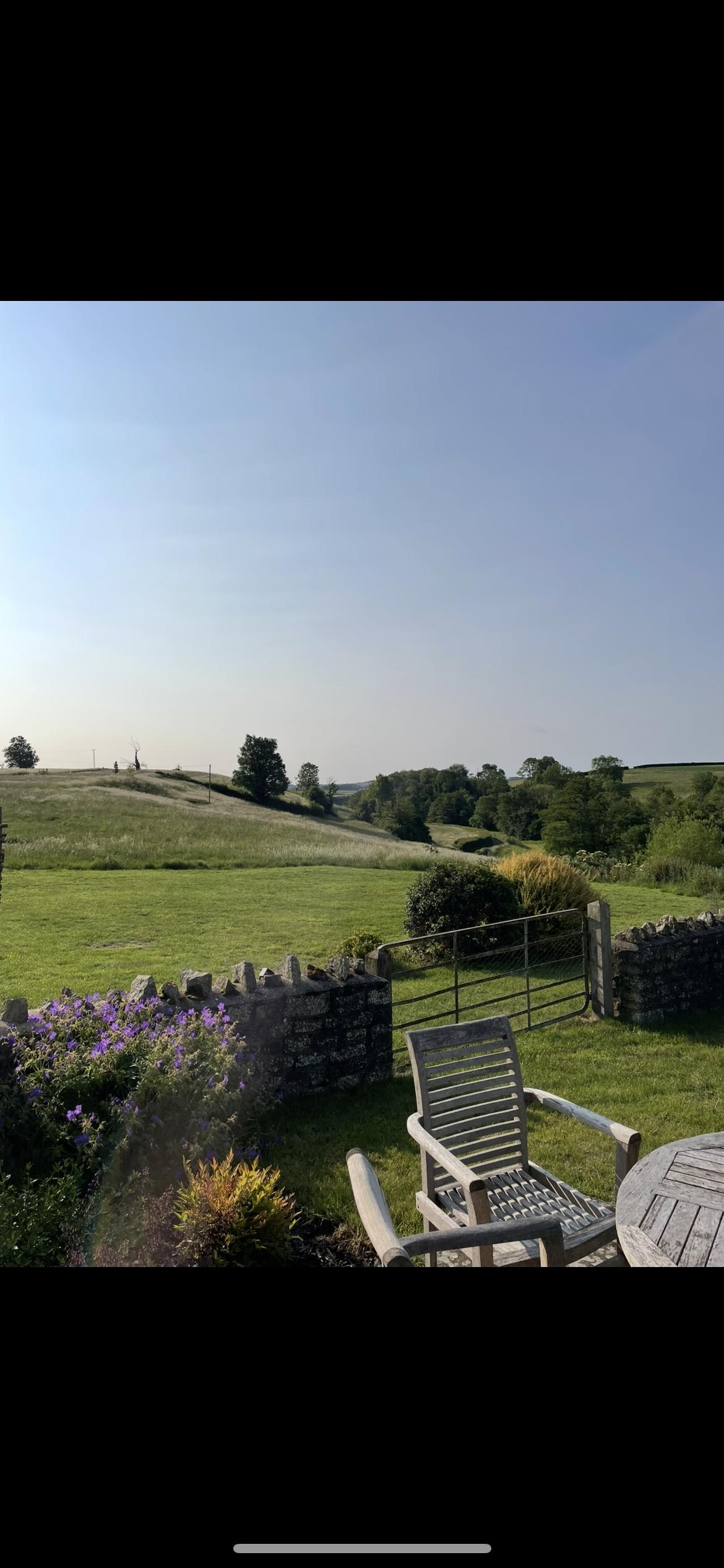 Views from the garden 