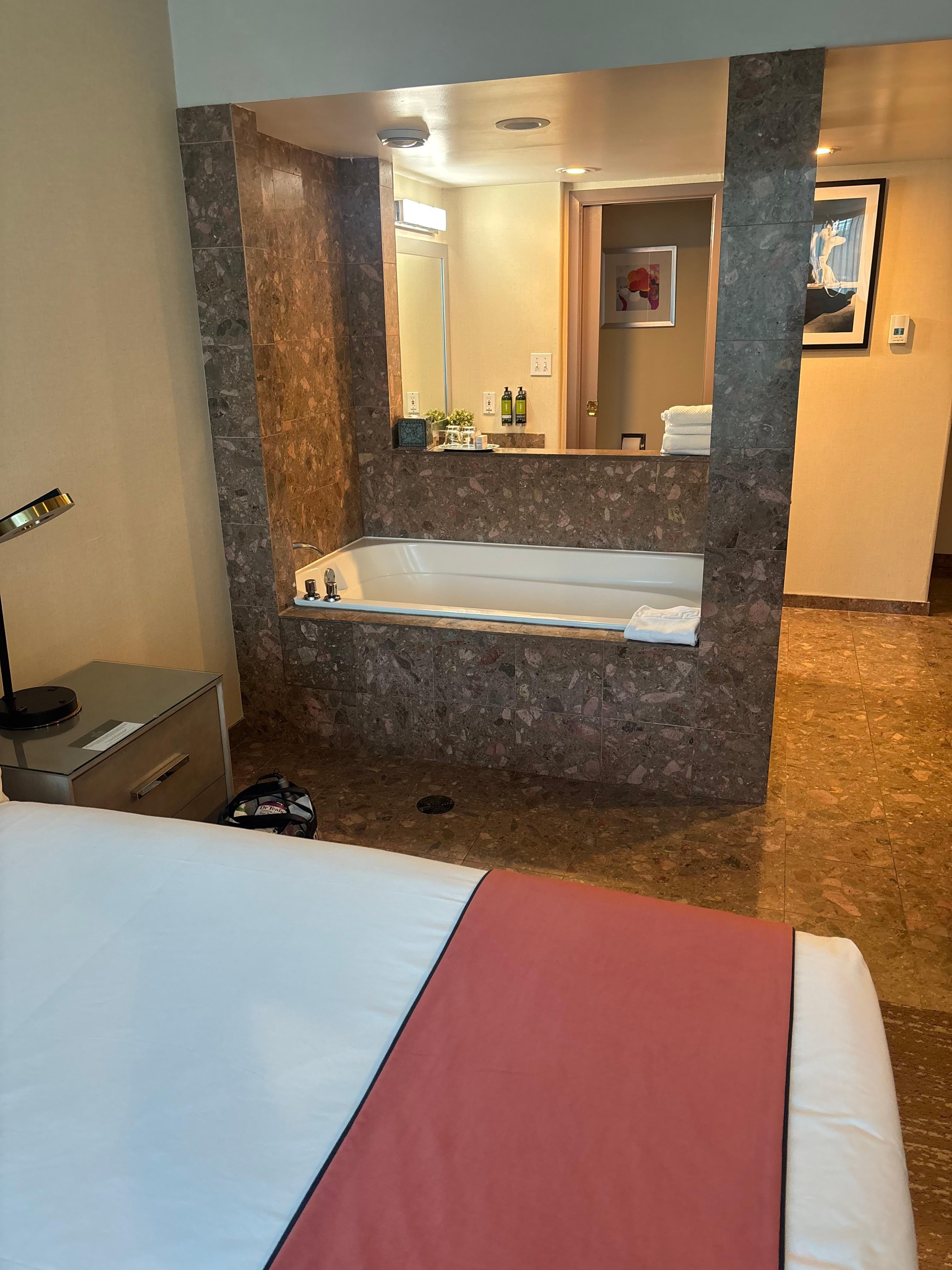 Jacuzzi suite. Fits two. Can watch tv from it